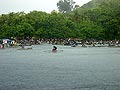 Dieses Naturphänomen und die durch den Kältetod gestorbenen Fische bringen den Einwohnern und zahlreichen Delfinen eine zusätzliche Mahlzeit.