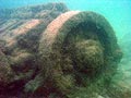 Bondi Wreck