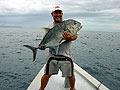 Giant Trevally