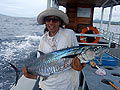 Spanish Mackerel