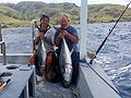 Double strike
Yellowfin Tuna