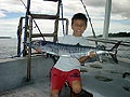 Wahoo