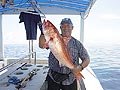 Ruby Snapper