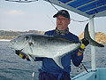 Giant Trevally