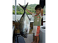 Giant Trevally