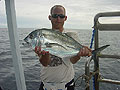 Giant Trevally