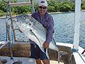 Giant Trevally