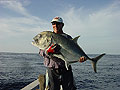 Giant Trevally